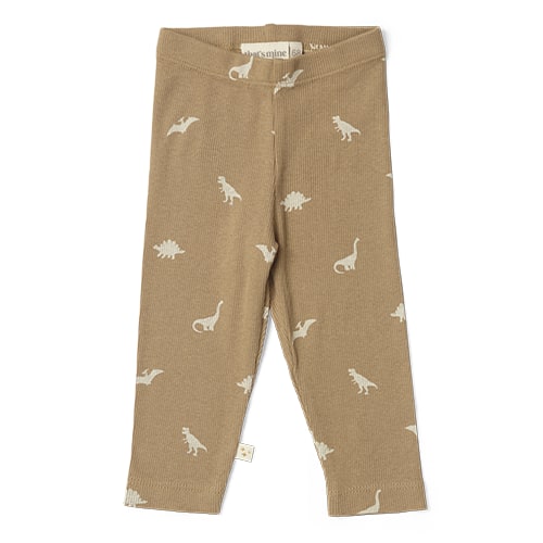 Land of the Dinosaur Slim Leg Leggings