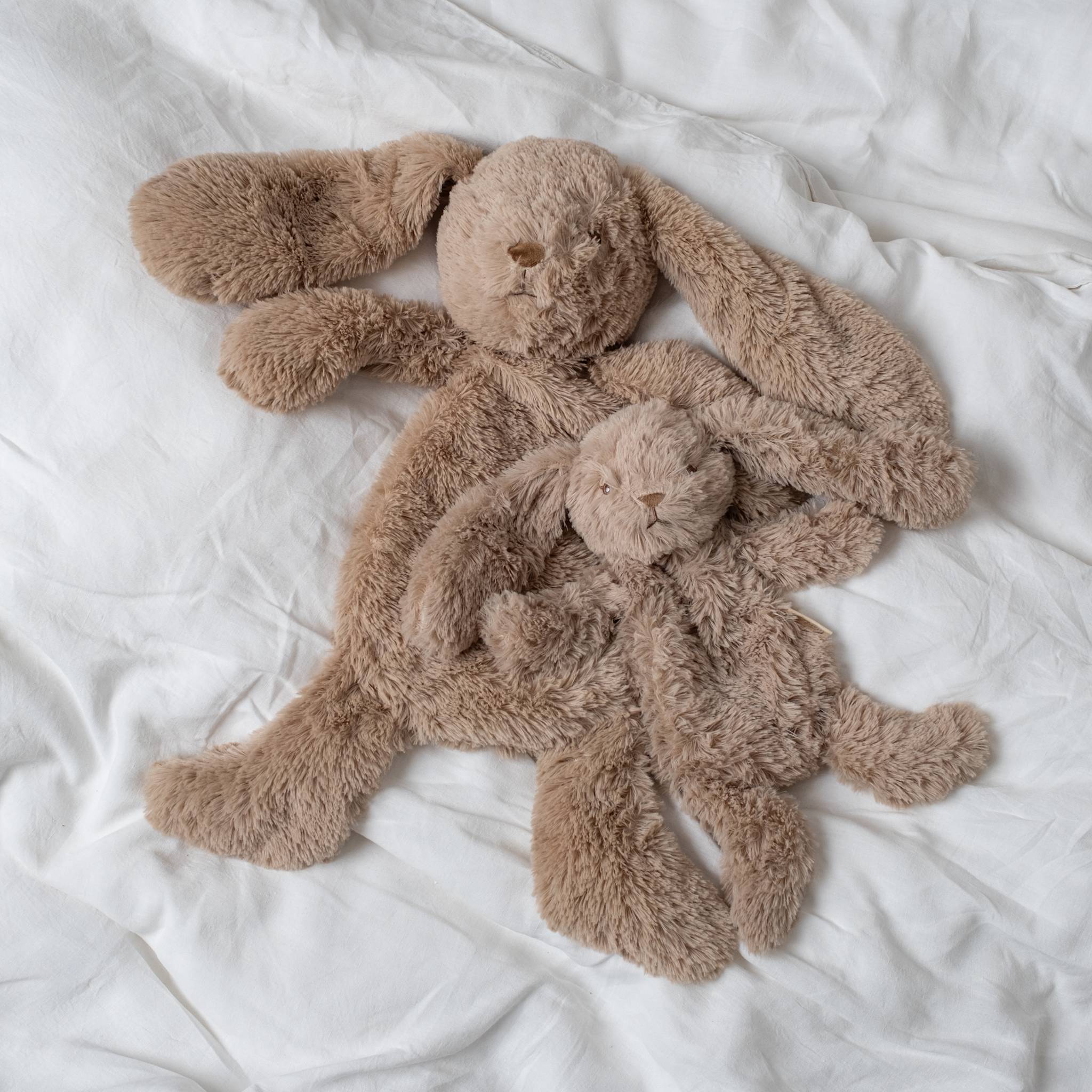 Houston tyngdebamse stor - Bunny from That's Mine | Buy now