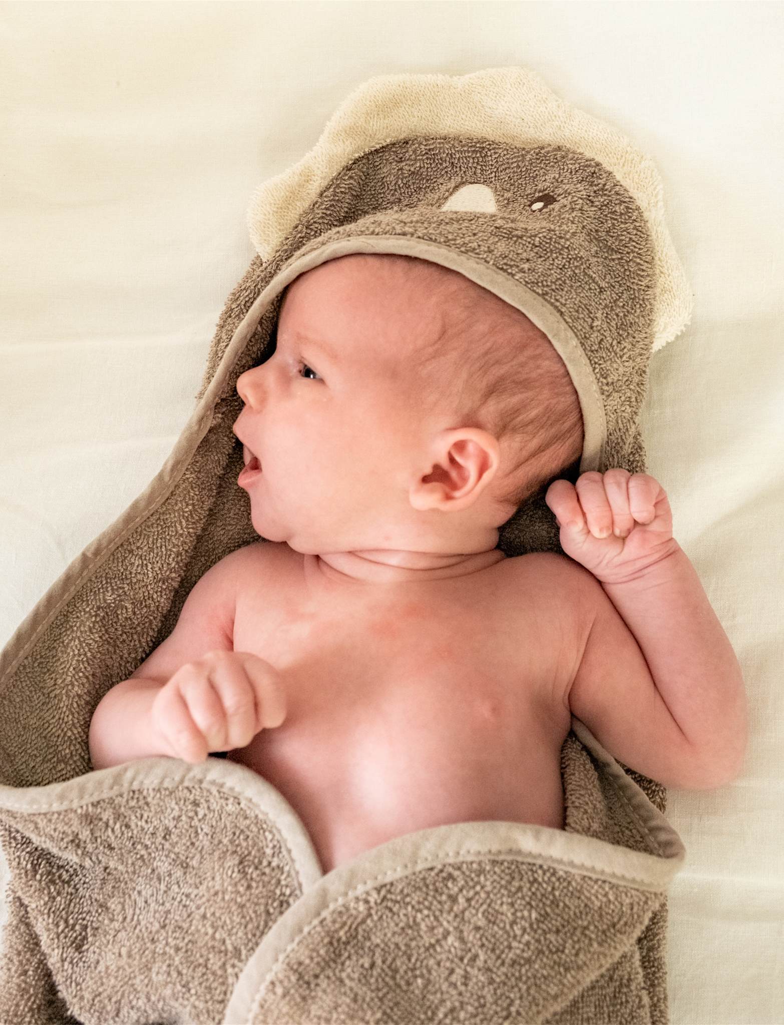 That's Mine Moly towel swaddle - Dino - 100% Organic cotton terry Buy Badetid||Håndklæder||Bolig & udstyr||Alle||Favoritter||personale||alt minus sløjfe||NOOS||mette-sale||Dinosaurtøj & kostumer||Orderly Emails - Recommended Products||Udstyr til badeværelset||All here.