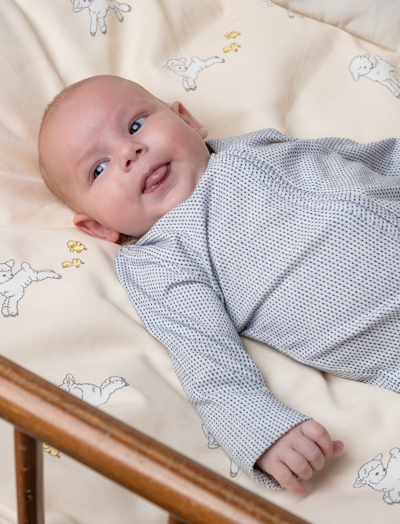 That's Mine Benli onesie - Tiny dots navy - 95% Bomuld (Økologisk), 5% Elastan Buy Overdele||Onesies||Nattøj||personale||Baby essentials||Jersey||AW26||All here.