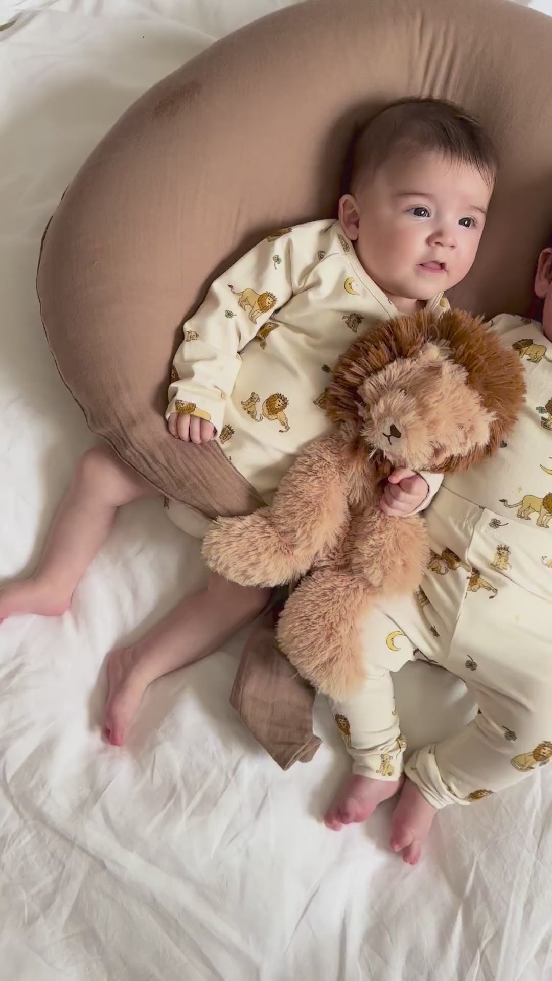 Houston heavy teddy small - Lion