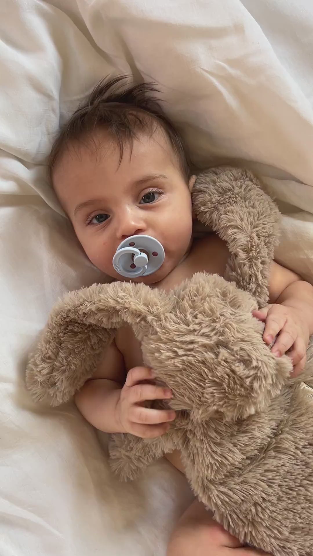 Houston heavy teddy small - Bunny